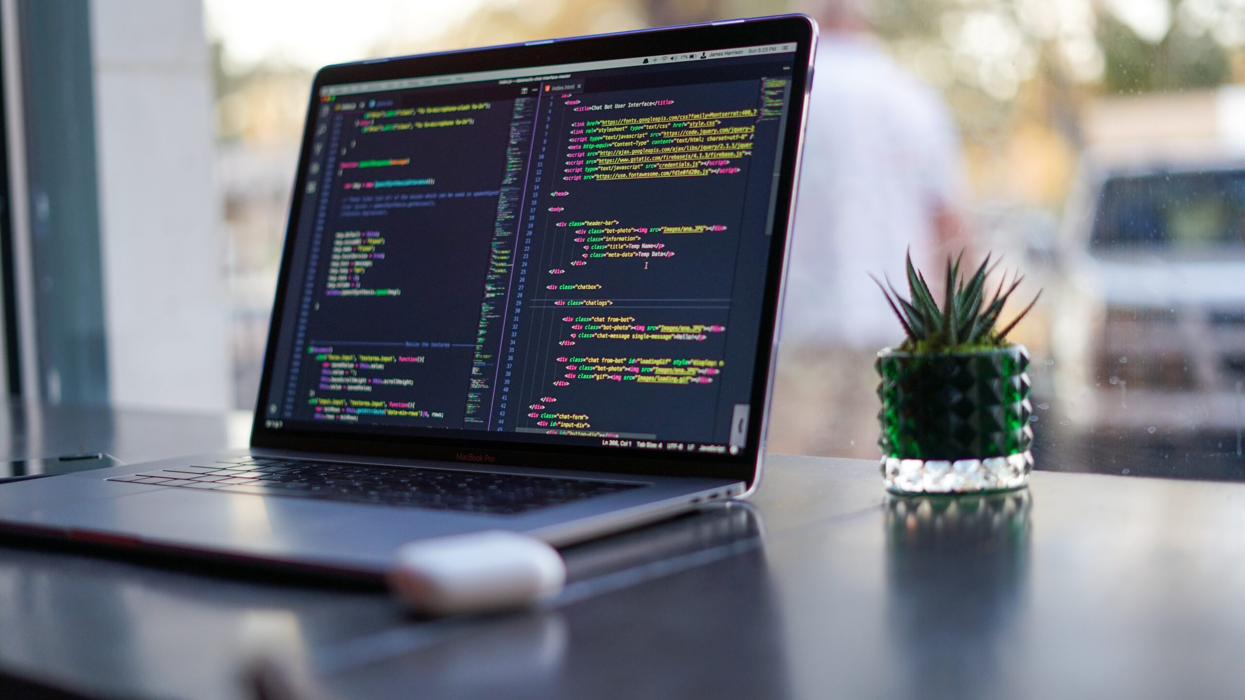 プログラミングのPC画面と小さな観葉植物